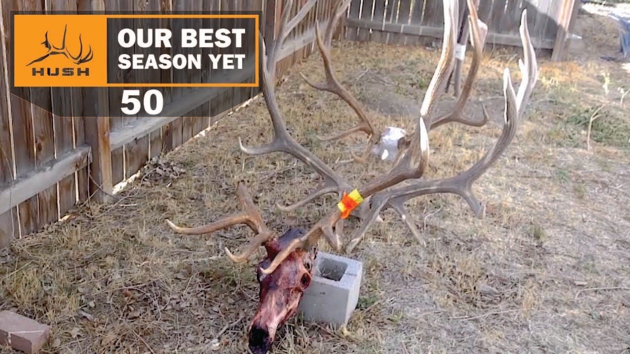 BSY | 3 BULLS FROM 3 STATES | S1E50