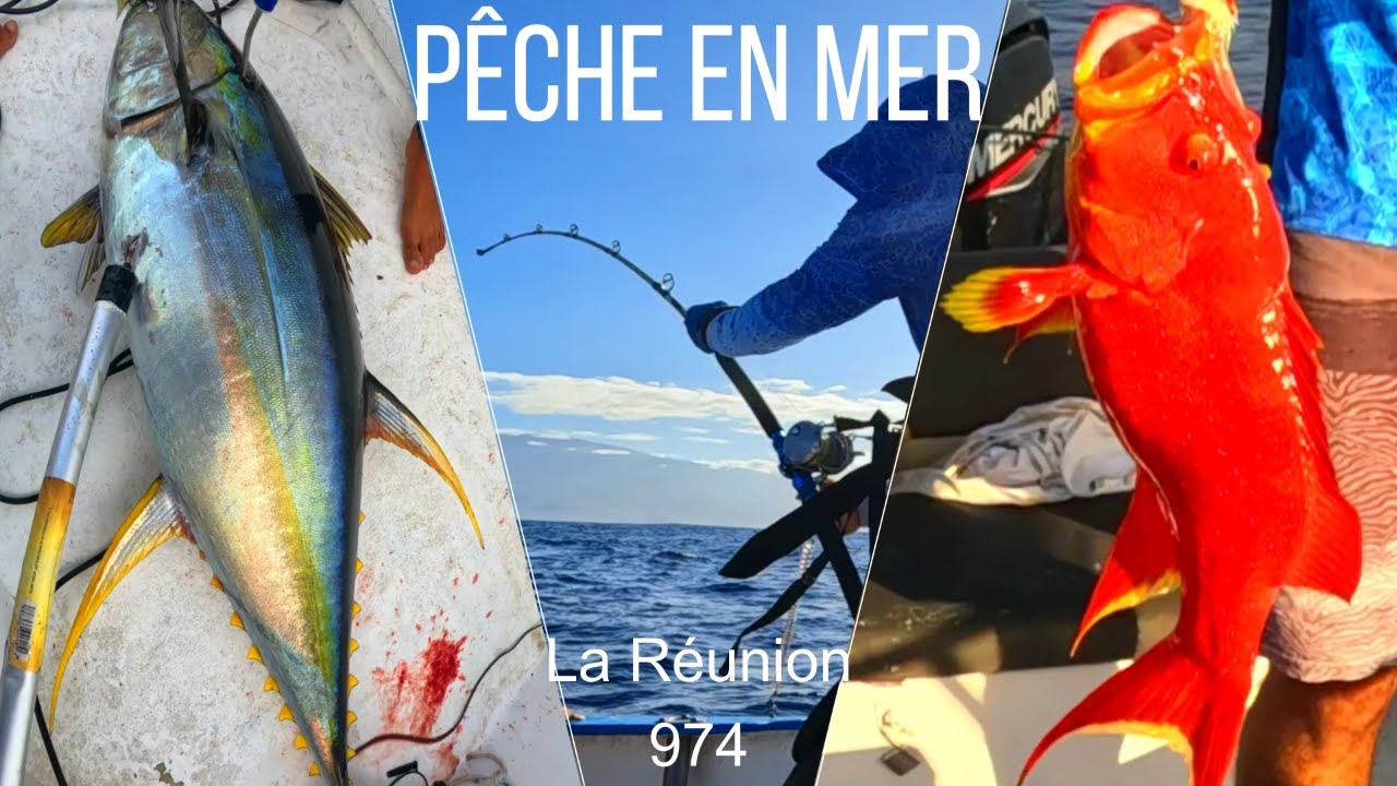 Pêche en Mer île de La Réunion / Fishing Reunion Island | Episode #3