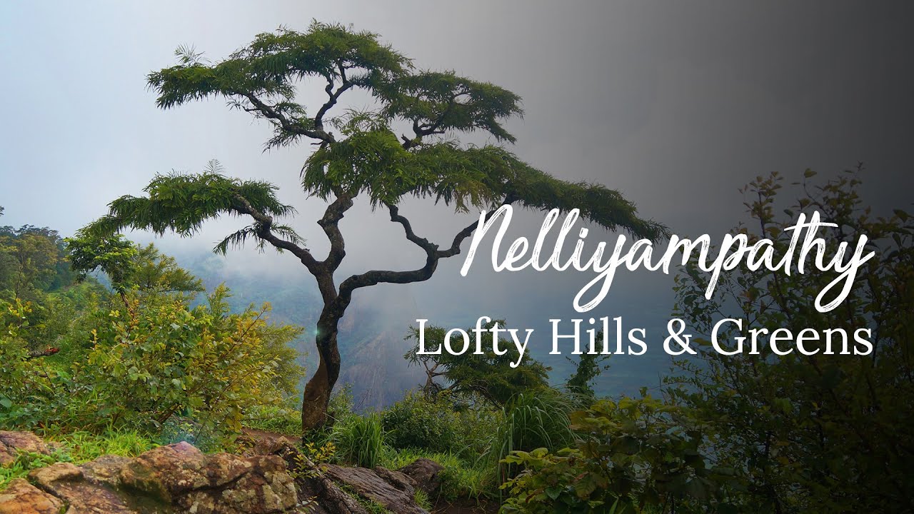 Nelliyampathy | #BucketListDestinations | Kerala 365 | Kerala Tourism