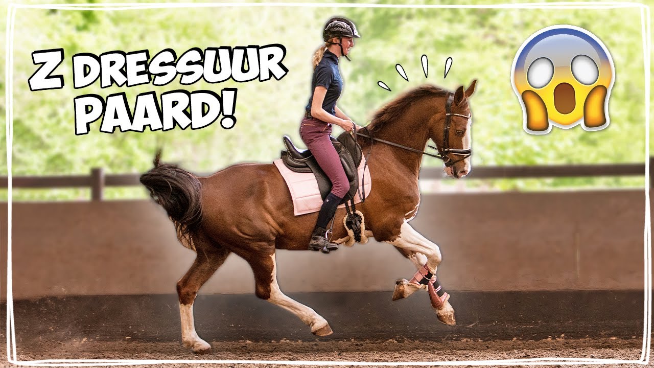 VOOR HET EERST OP EEN Z DRESSUURPAARD RIJDEN! 😱 GAAT DIT WEL GOED? - Vlog #91 | Daphne draaft door