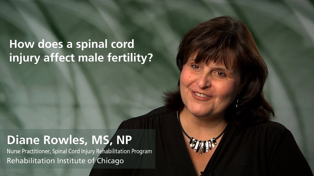 Male Fertility after Spinal Cord Injury