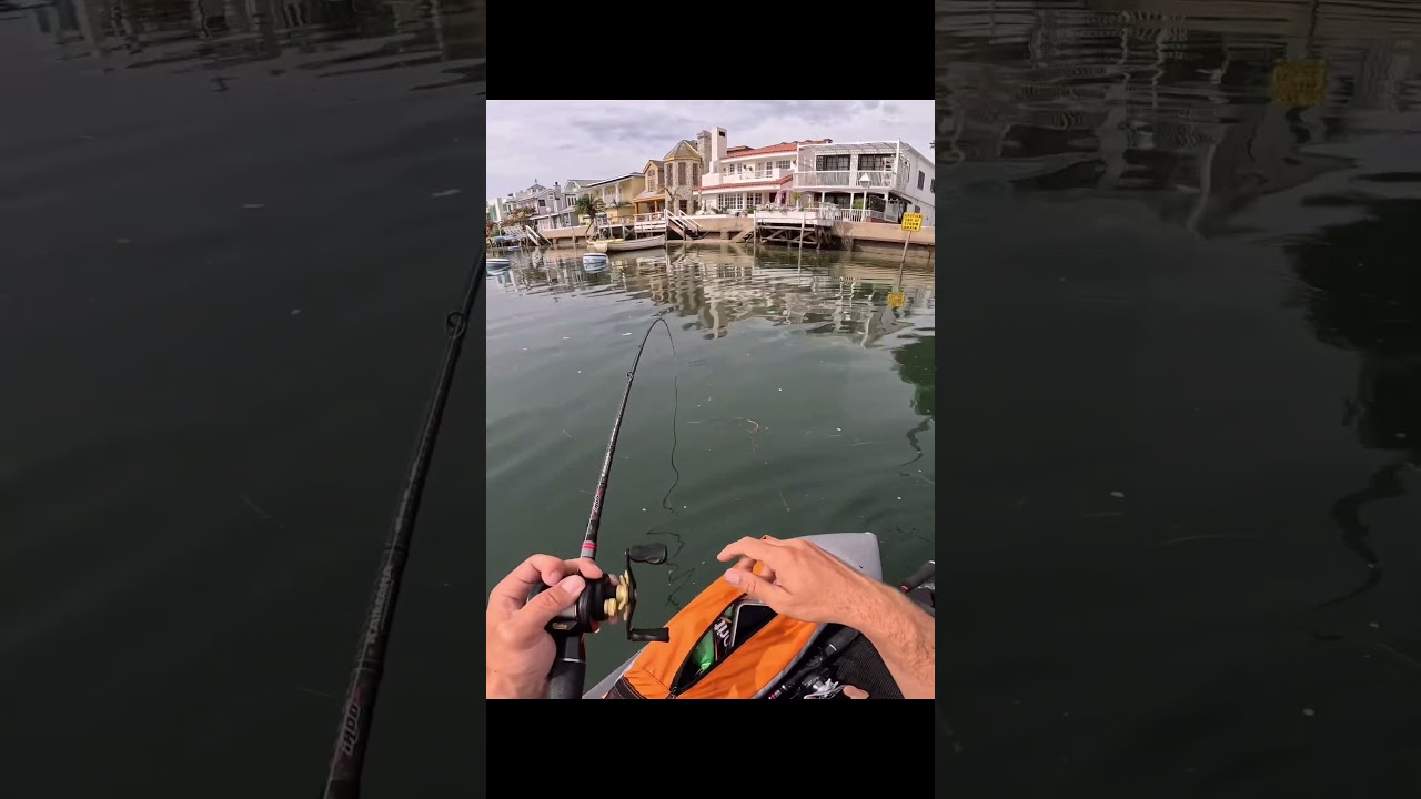 Boppin around the OMR jr From Toxic Baits! Spotted Bay bass fishing in Newport 
