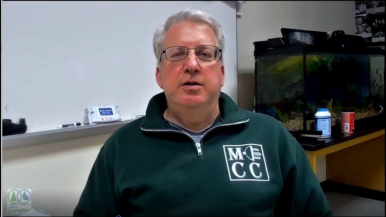 Teaching STEM Education – A Hands-On Approach