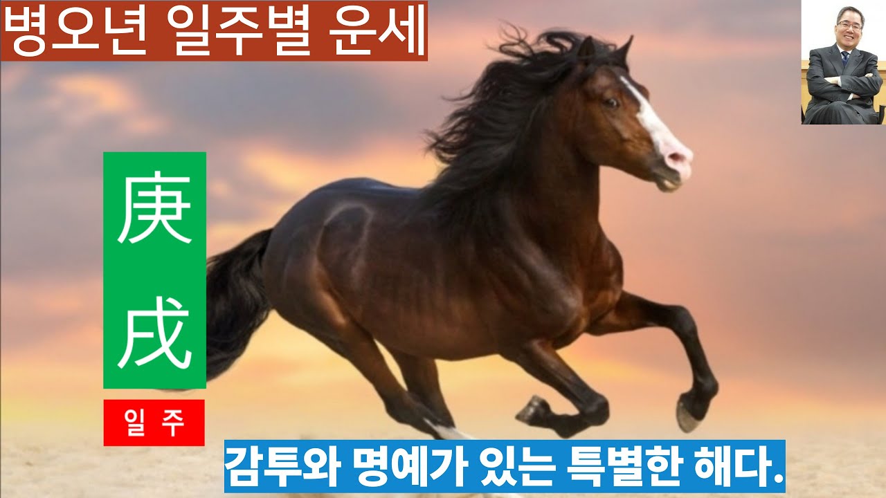 병오년운세ㅣ경술일주, 감투와 명예로 이름을 날린다, 노력의 정당한 댓가를 성취하는 해다