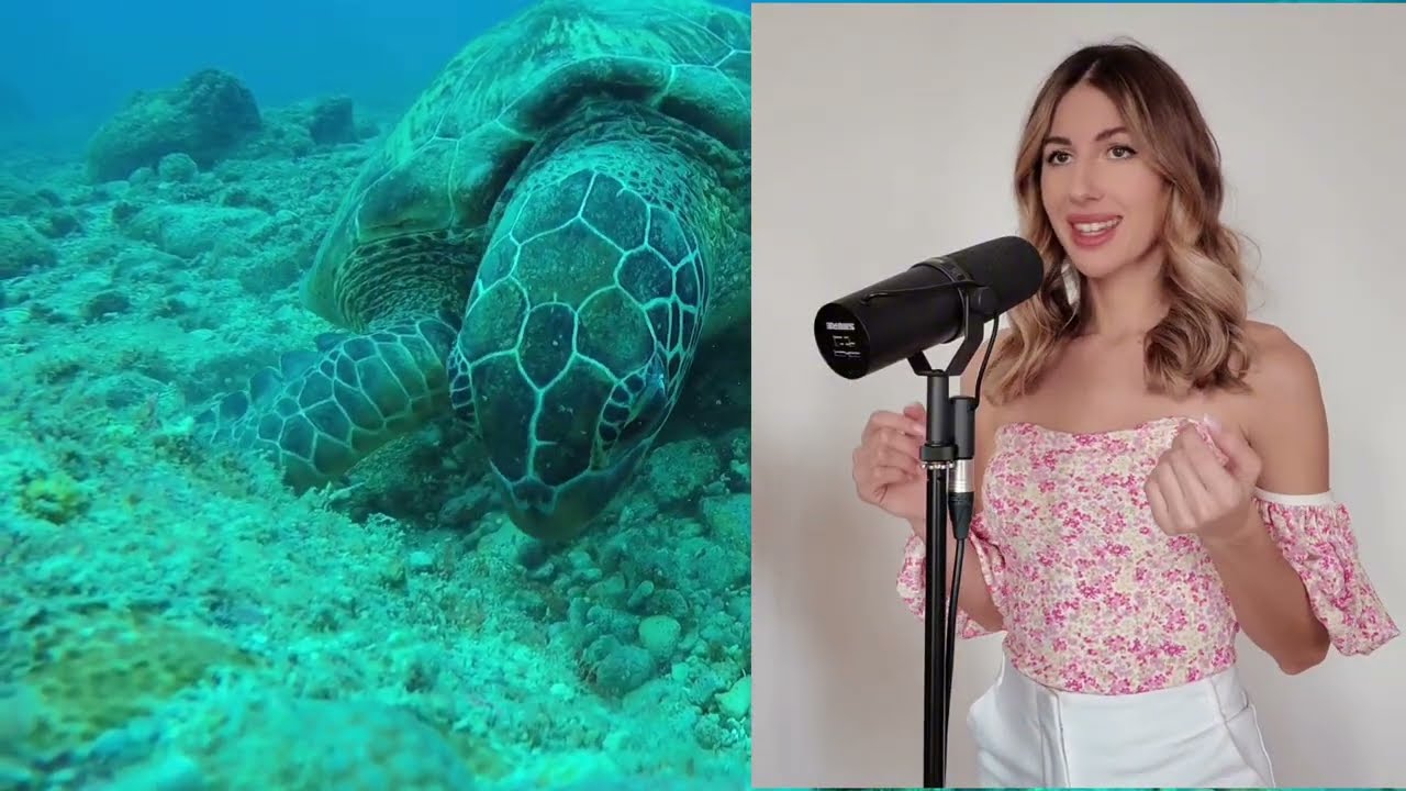 Gyulai Viki - Távoli Fény (Vaiana) | Cover