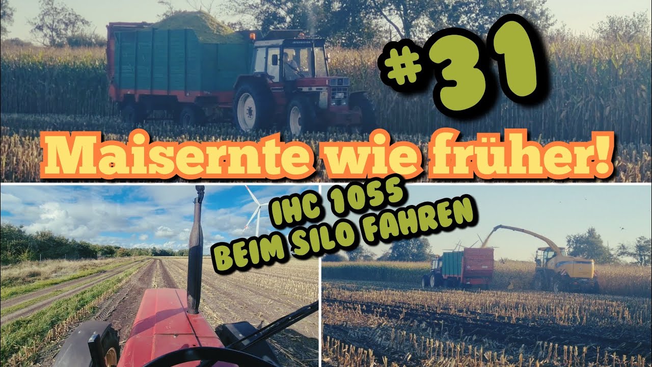 Maisernte wie in alten Zeiten? | IHC 1055 100PS vor HaWe Silagewagen | Maisernte 2022 |