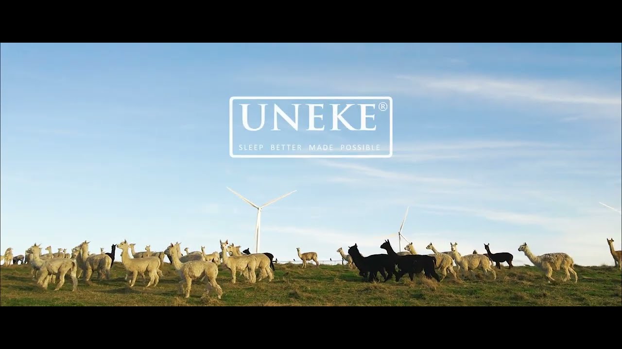 Uneke - Alpaca