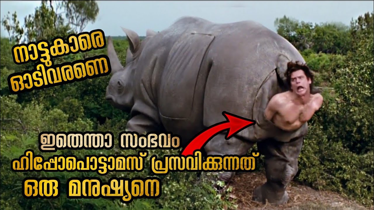 ആഫ്രിക്കയിൽ ഒരു കേസന്വേഷണത്തിന് വന്നതാണ് പക്ഷേ കിട്ടുന്നത് എട്ടിന്റെ പണികളും