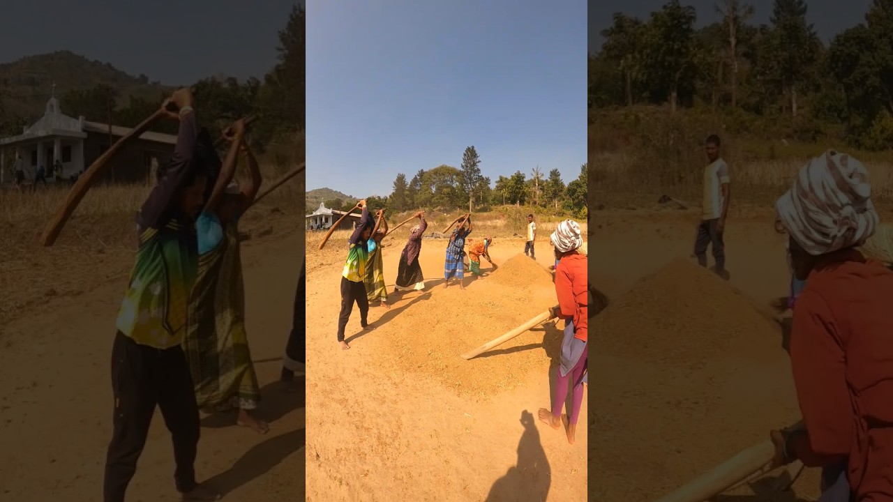 Indian Tribal Life  | AP Tribal Culture | Real Village & Hill Life