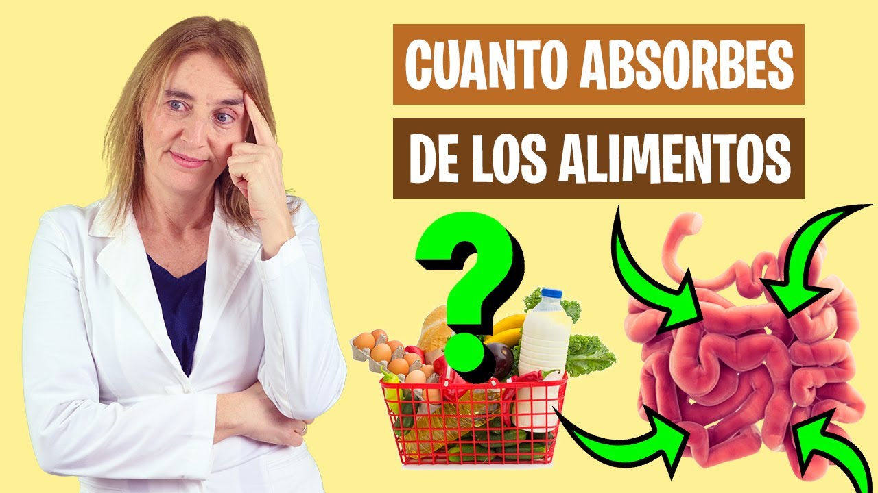 LO QUE ABSORBO de los ALIMENTOS | Biodisponibilidad de los alimentos | Alimentaci&oacute;n real saludable
