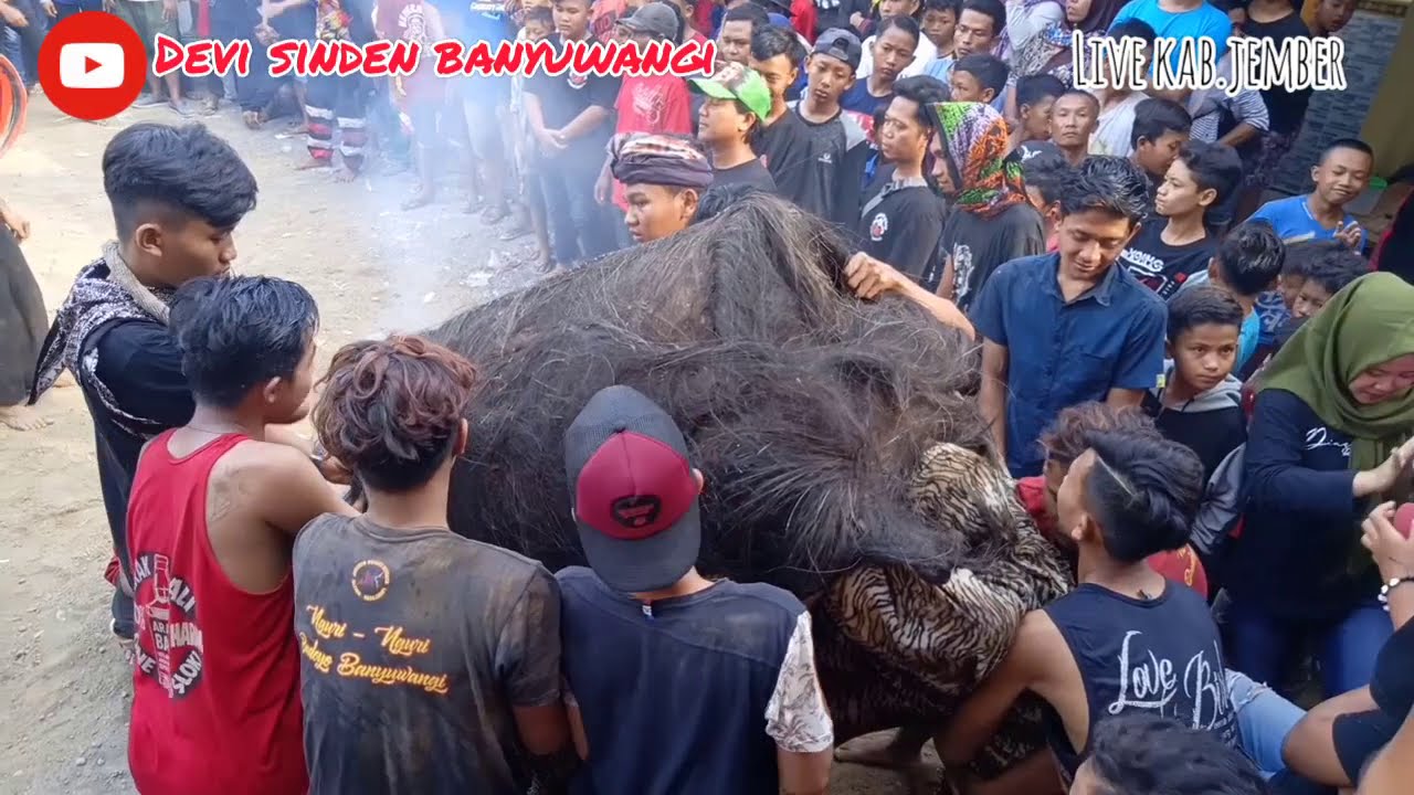 Tiket Suwargo vs keblek keblek jaranan wongso kenongo