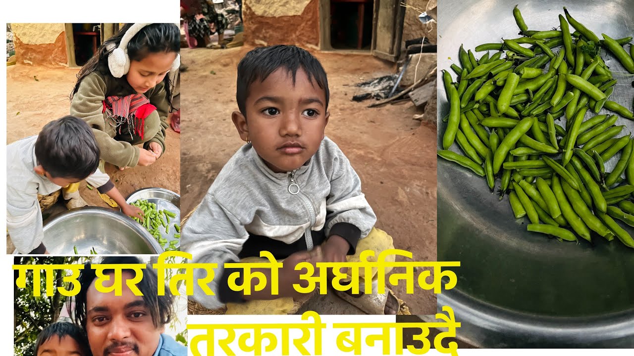 hamro gau ghar tirako arghanik tarkari 