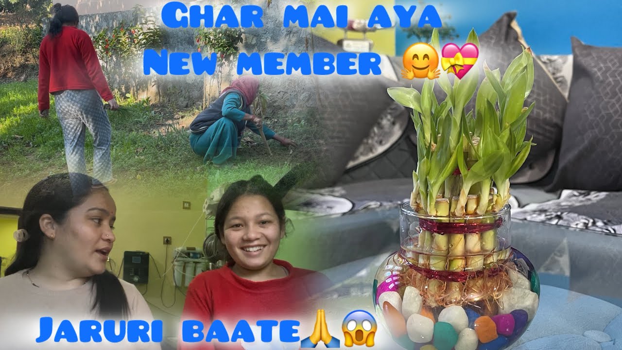 Ghar 🏠 aya new member 🤗💝|| har koi kisi ke bina bhi ji sakta hai Kis baat Ka ghamand😏|| jaruri baate