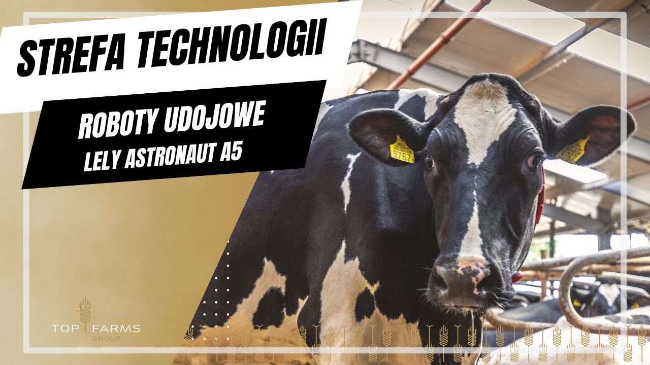 STREFA TECHNOLOGII Top Farms #4 Roboty udojowe Lely Astronaut A5