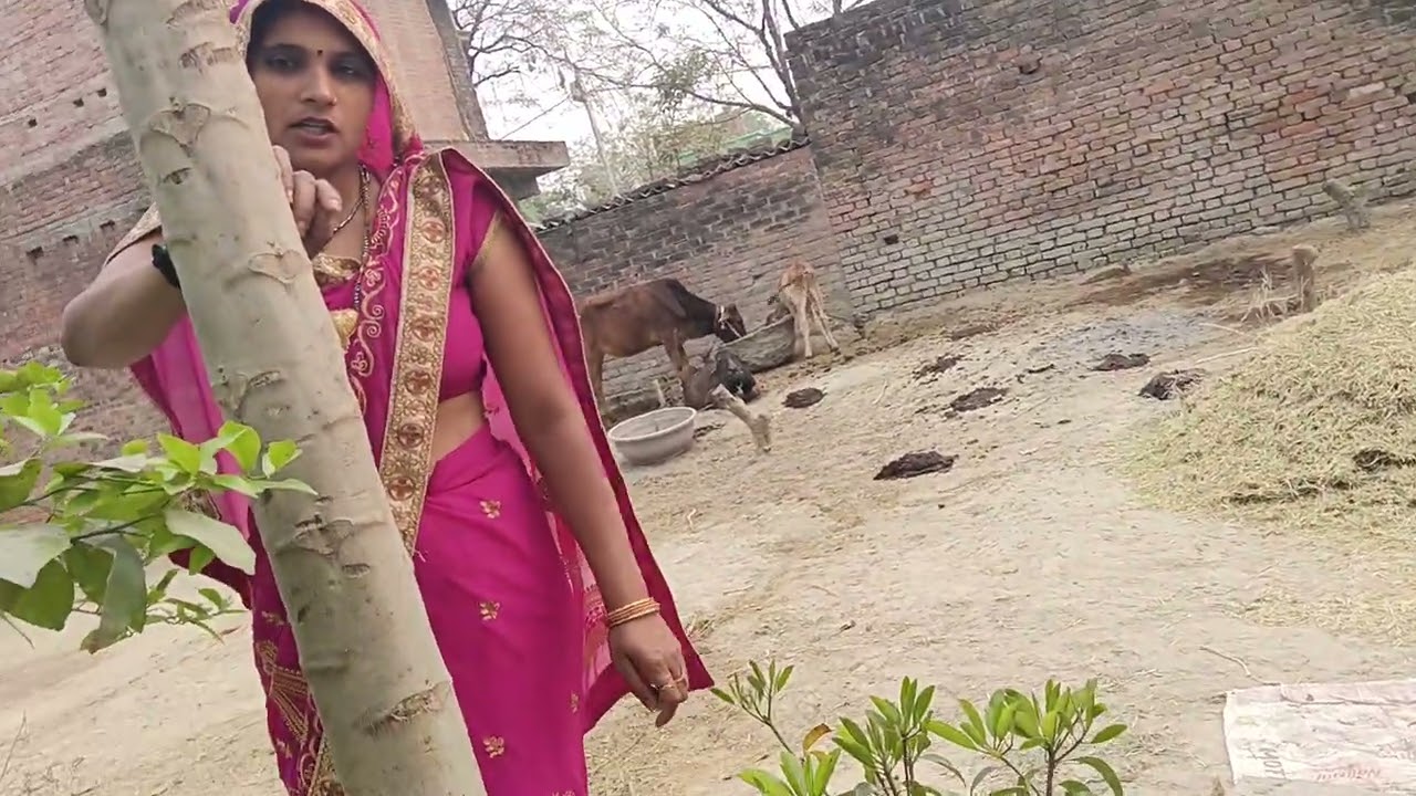 मेरा अशोकवाटिका#comedy #video #