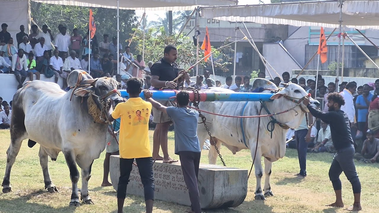 gandavaram yadhulu pandalu 14-2-2026 