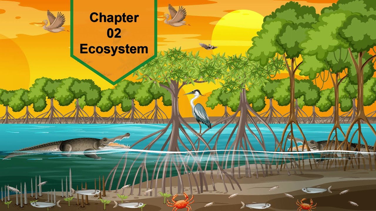 Ecosystem  | Grade 4 | Unit-2 | General Science | SNC | PEN Academy