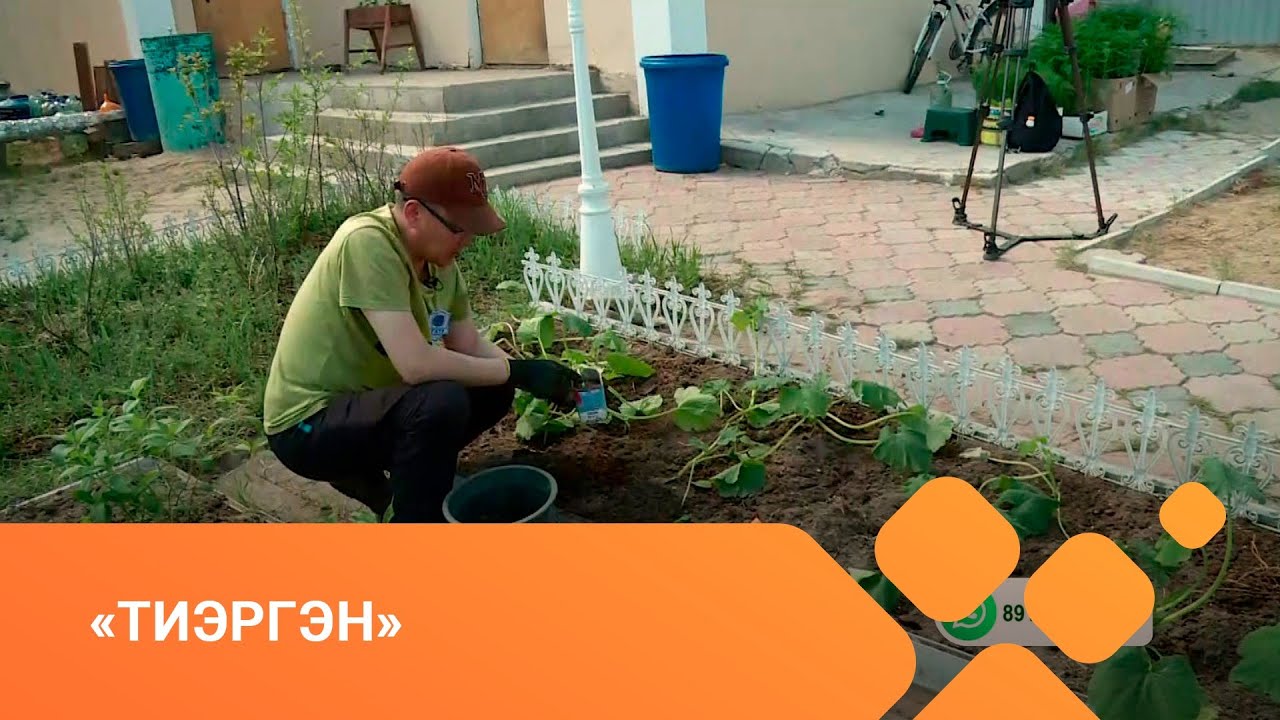 «Тиэргэн» биэриигэ: ландшафтнай дизайн уонна оҕуруот аһын сөпкө олордуу (03.06.21)