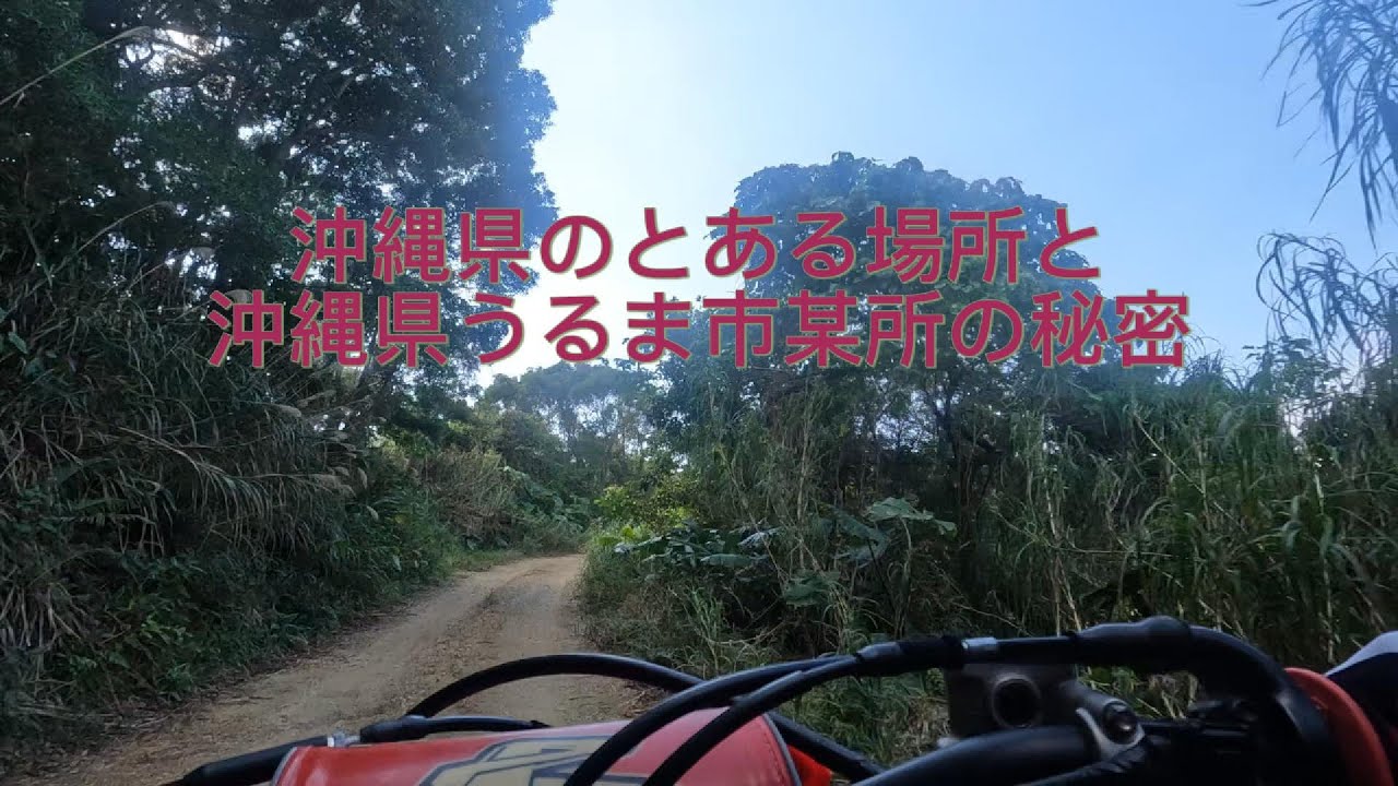 2026.1.25.Sun　沖縄県のとある場所と沖縄県うるま市某所にて（沖縄県のとある場所と沖縄県うるま市某所の秘密）
