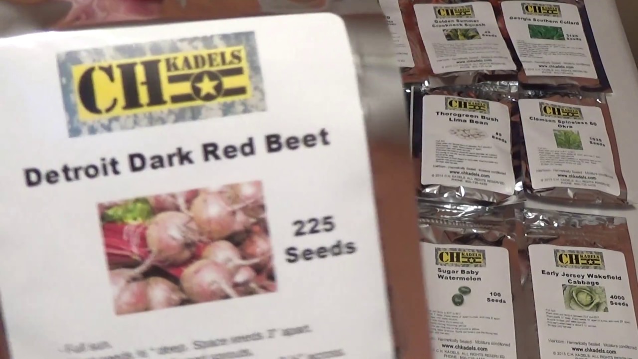 Ultimate Homestead Seed Cache from BUDK CH Kadel Review