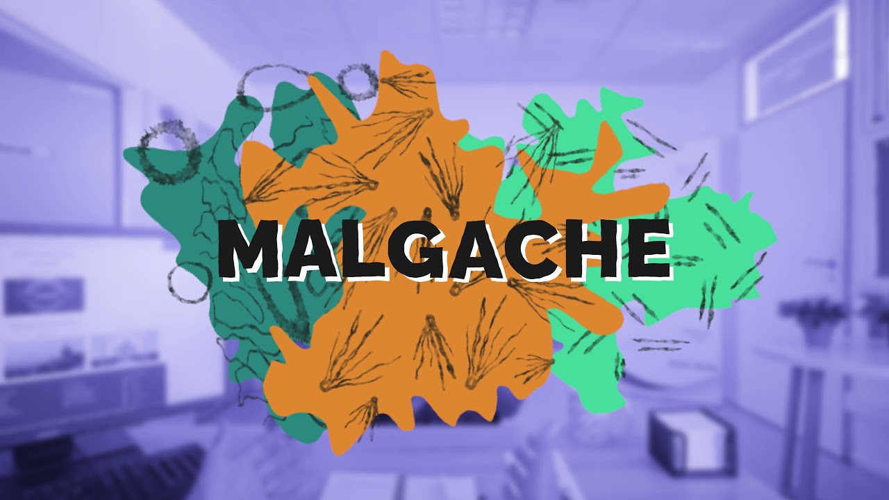 05   Maison des langues 2021   Spot Malgache