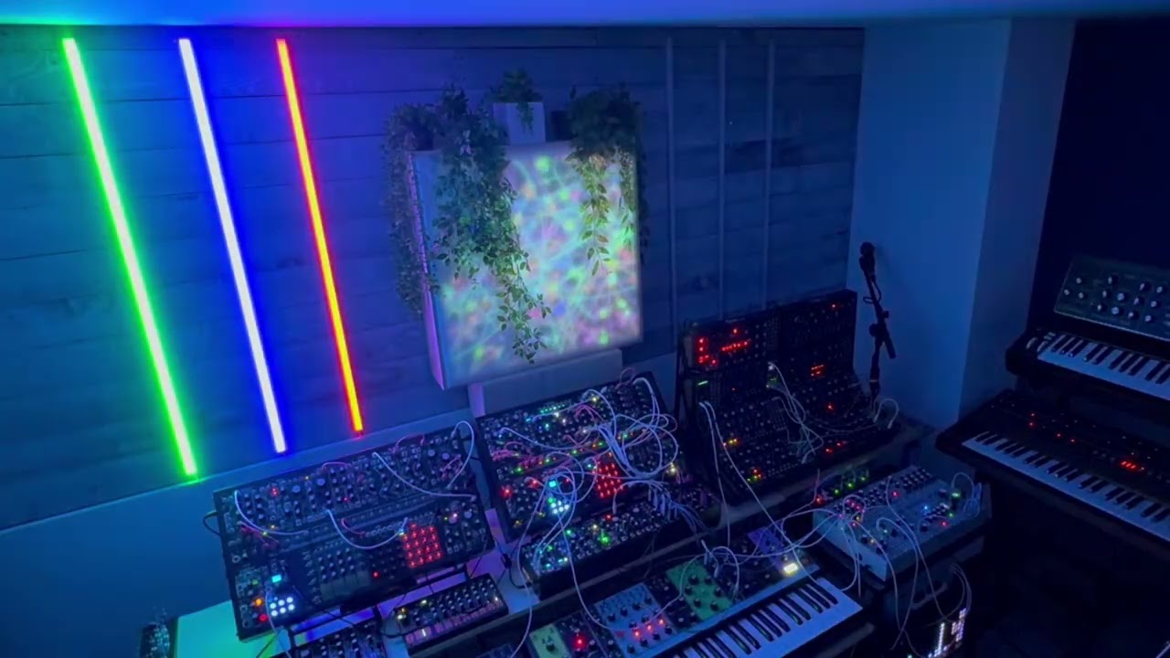 Trodden Path | Generative Synth | 13 Minute Ambient Piece