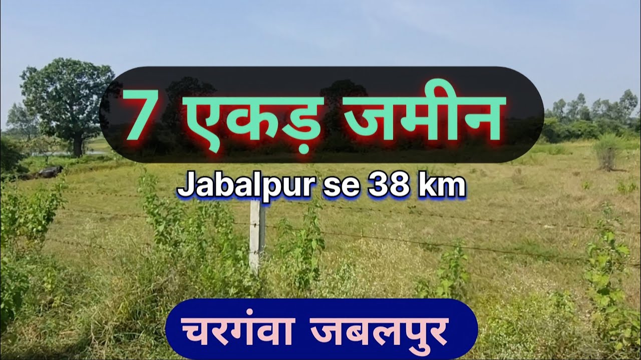 7 Acres Agriculture Land For Sale In Jabalpur Chargawan #agriculture #farming