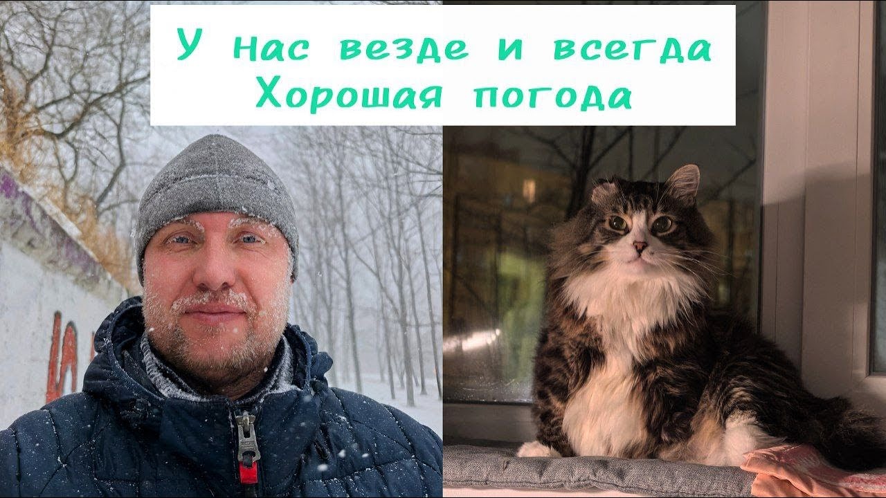 У нас снег))