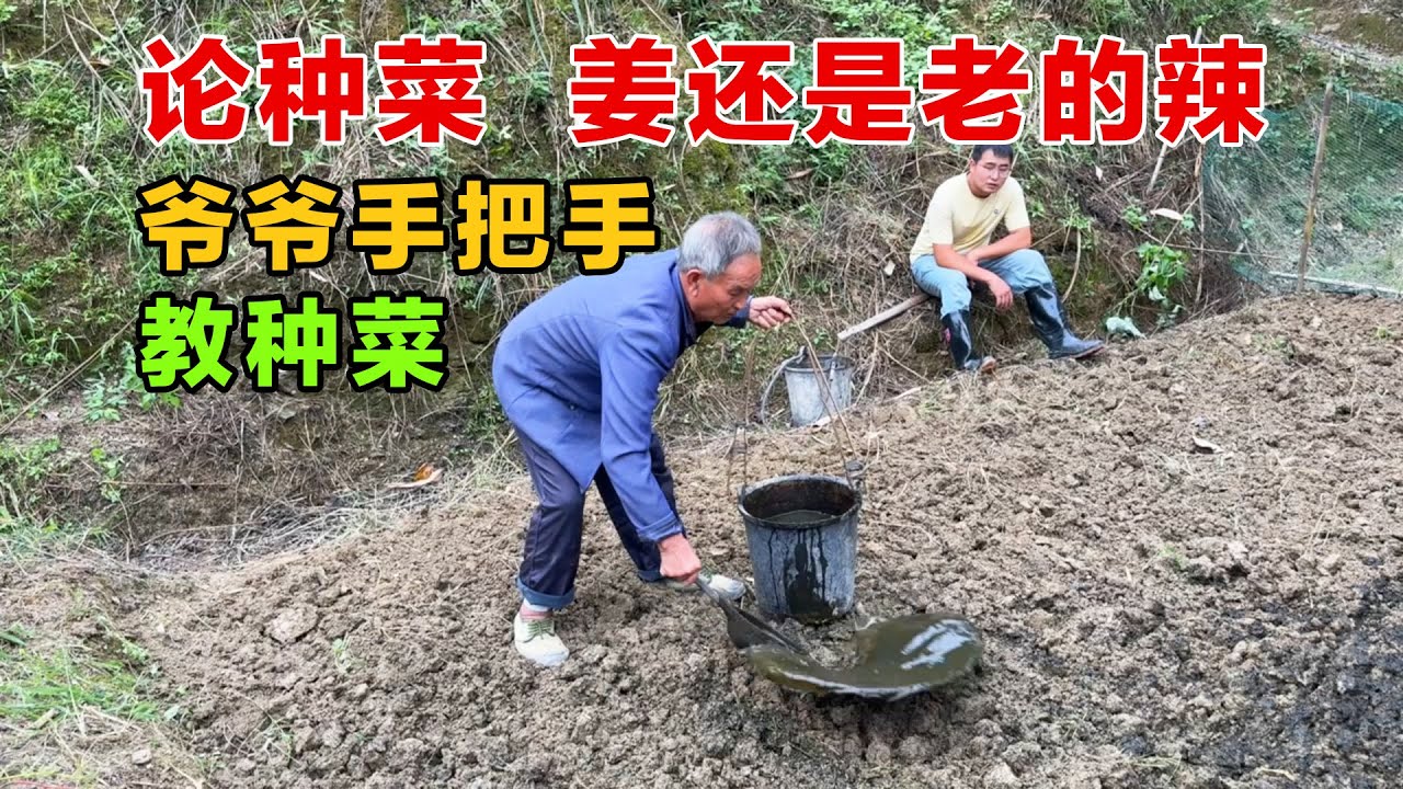 帮爷爷种菜，爷爷教会了我很多种菜技巧，真的是姜还是老的辣，种菜还是很有学问的