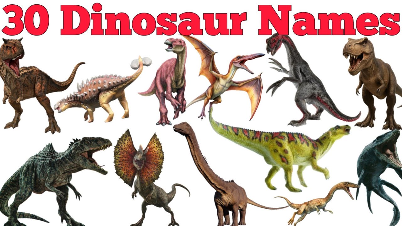 30 Dinosaur Names In English & Hindi With Fun Facts | Fun Learning For Pre-school Children