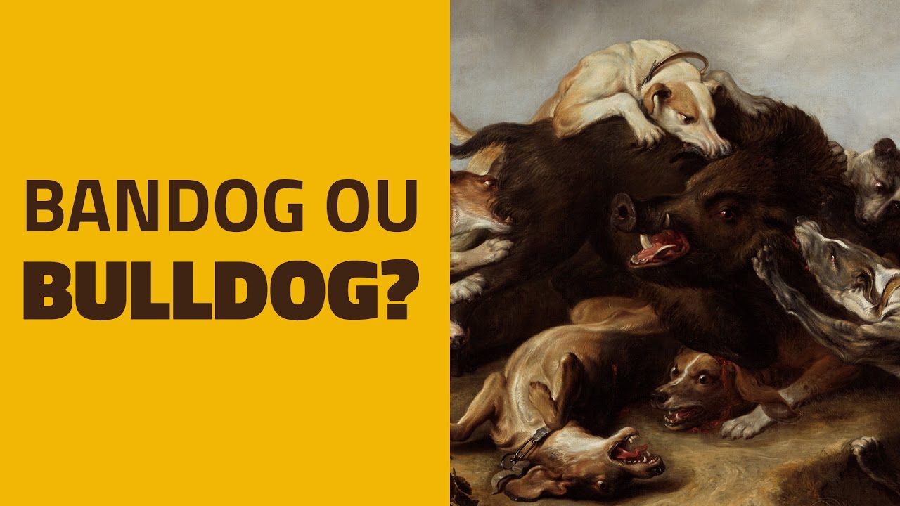 Bandog, Boundog, Boldog ou Bulldog?
