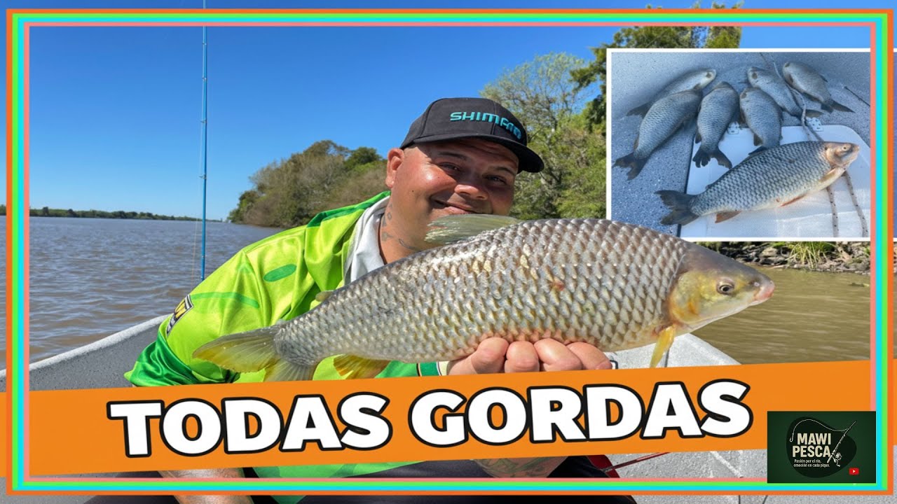 Impresionante: EXPLOSI&Oacute;N de BOGAS en la desembocadura del Paran&aacute;.