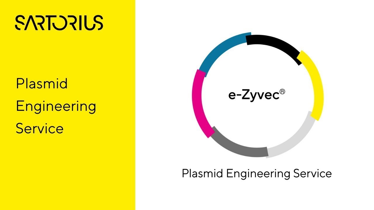 Plasmid Engineerring Service - e-Zyvec®