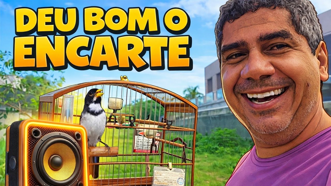 PEGOU OS CORTES DO ENCARTE