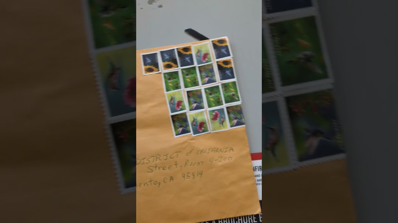 FEDERAL COMPLAINT VS YUBA COUNTY SUPERIOR COURT FILED SEE USSC MAILBOX 📬 RULE