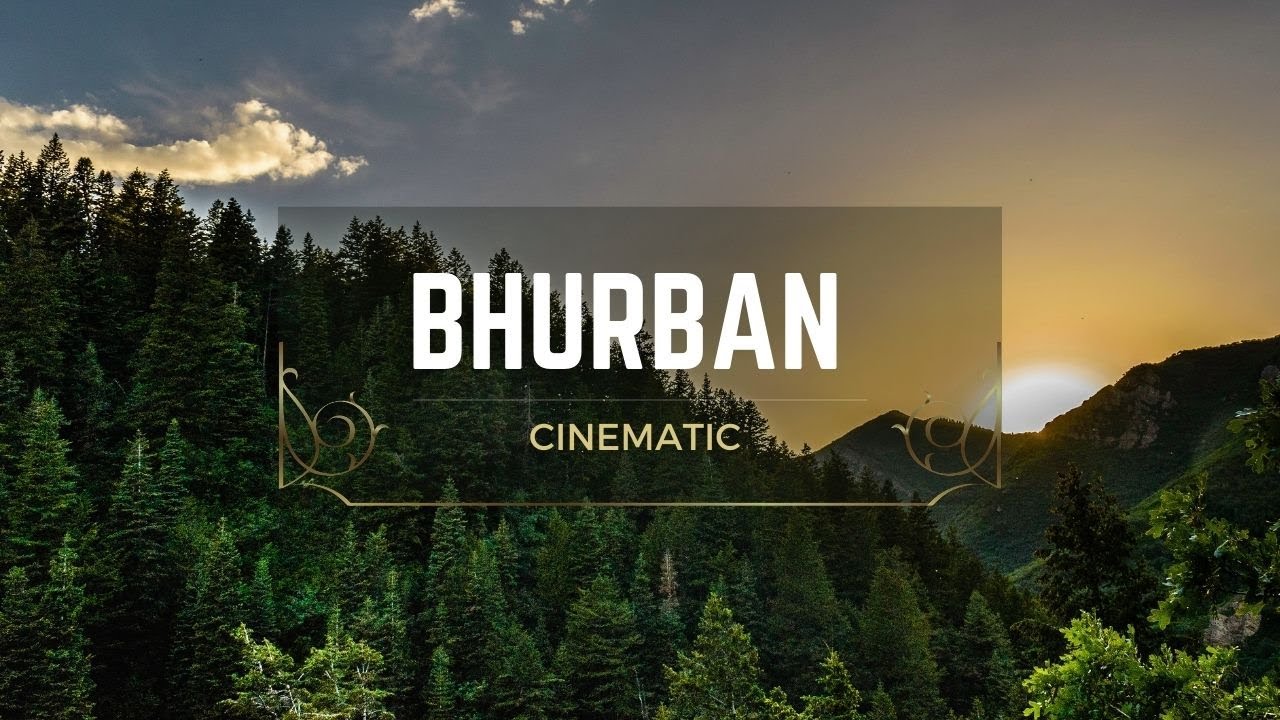 Early Morning in Bhurban Forest