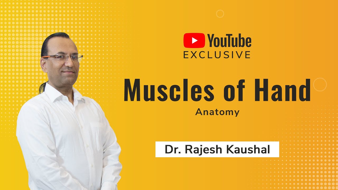 Muscles of Hand (Anatomy) - Dr. Rajesh Kaushal