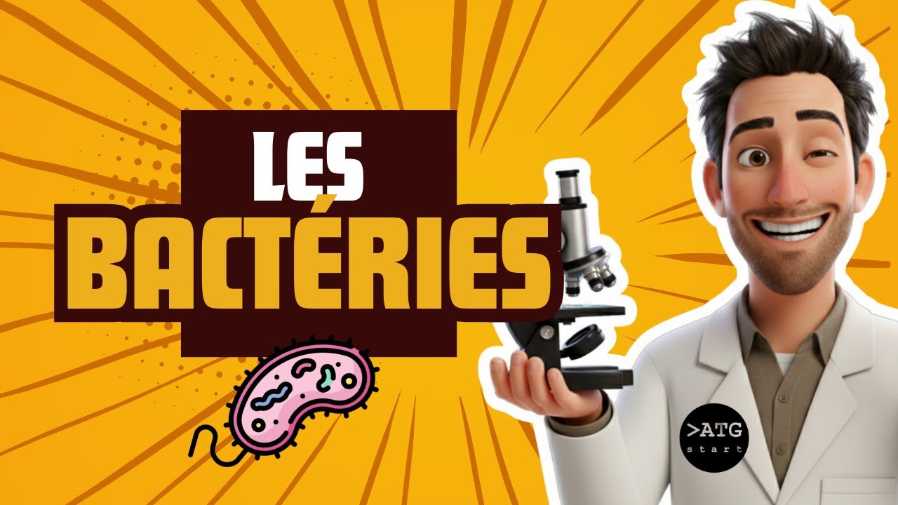 Les bactéries 🦠