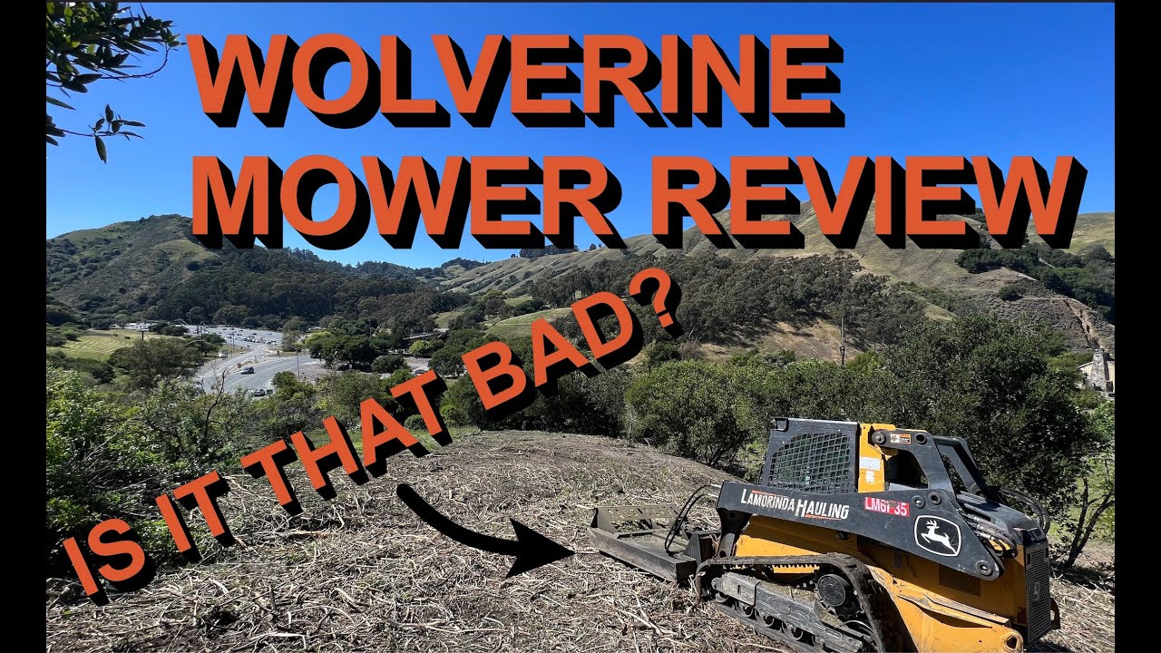 Honest Richie Bros Wolverine Cheapest Brush Cutter Review