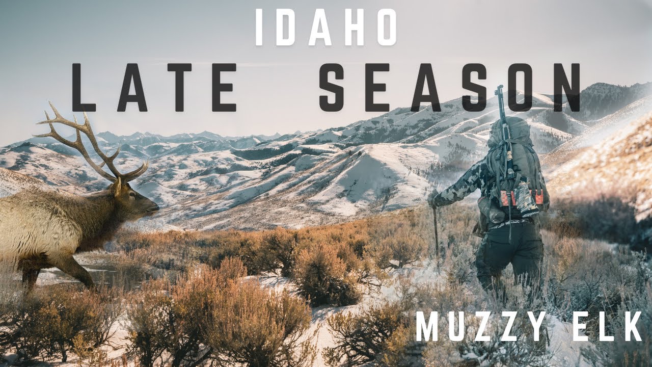 Late Season Elk Hunting - Muzzleloader
