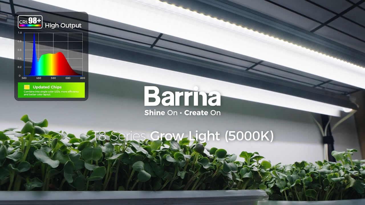 T8 Series Grow Lights 5000K Installation and Usage #barrina #barrinagrowlight #t8lightning