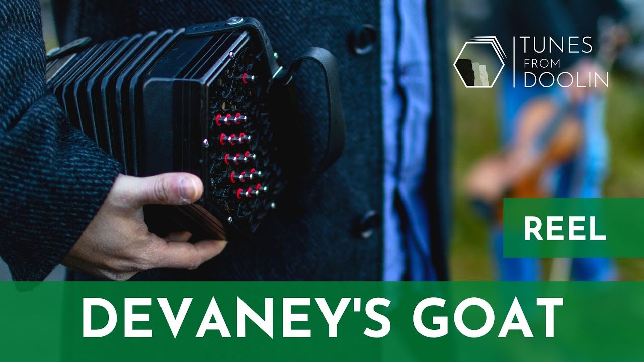 DEVANEY'S GOAT (Reel) | Irish Concertina Tunes  🎵☘️