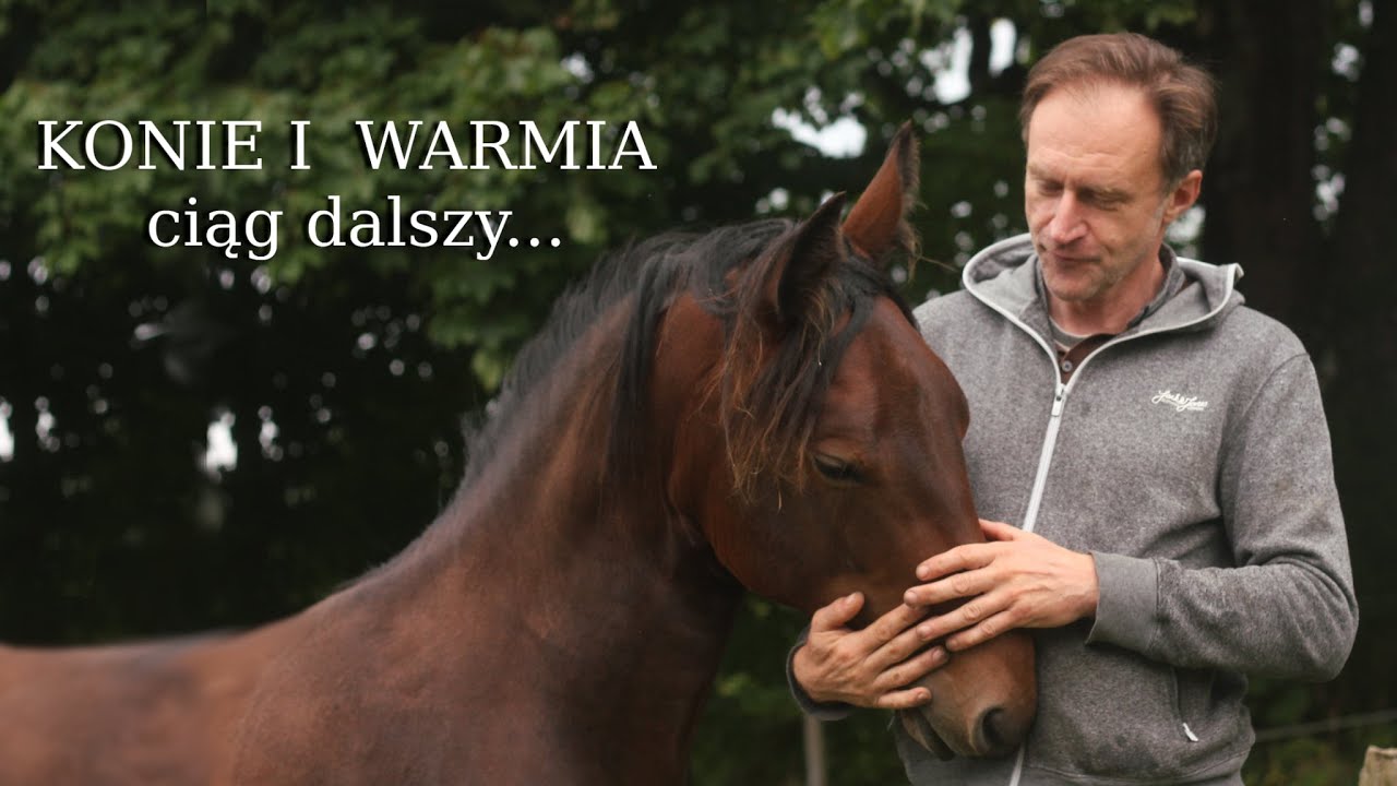 Warmia i konie!