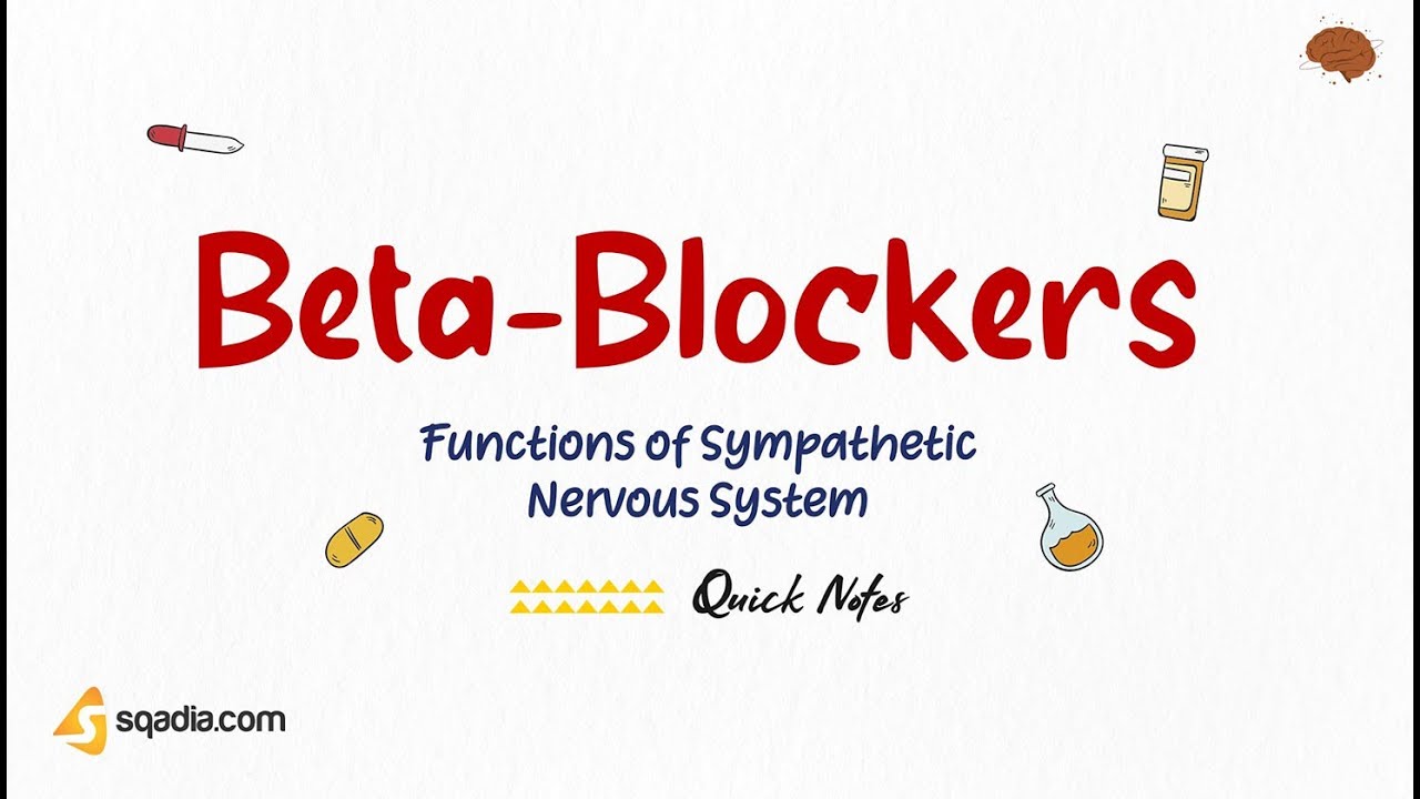 Functions of Sympathetic Nervous System | Beta-Blockers