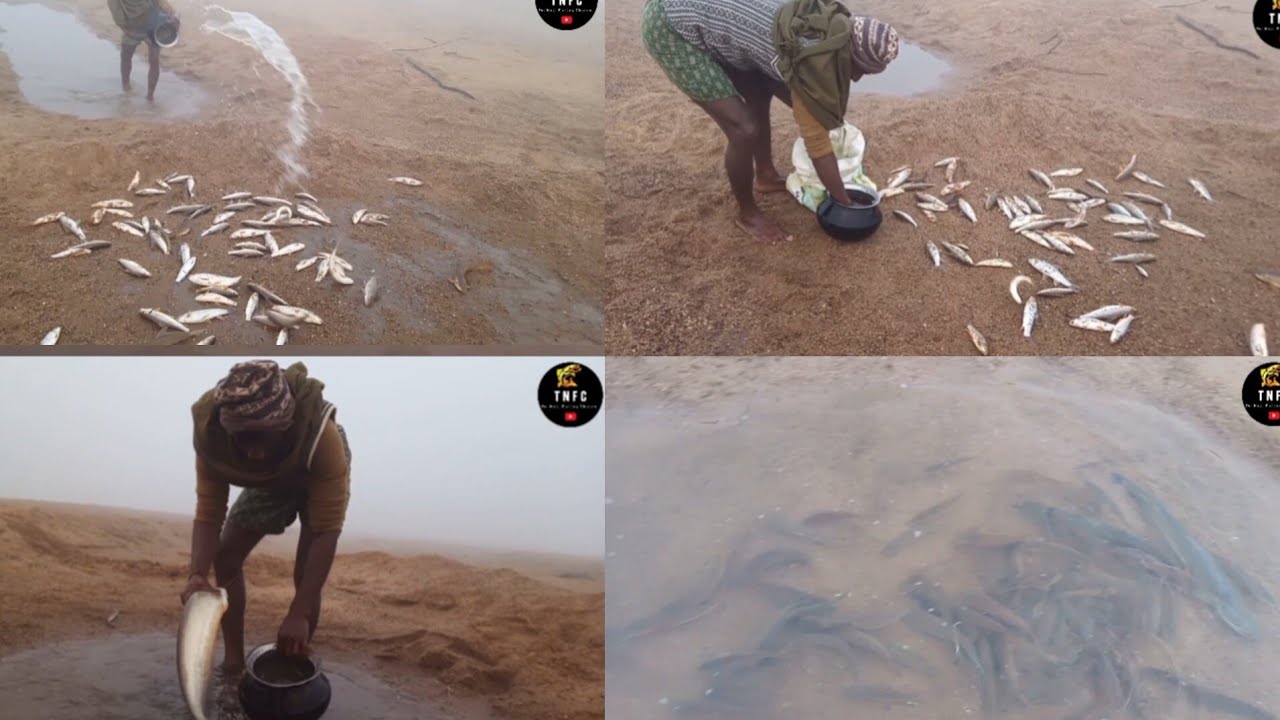 Village Boy Fishing Video || Amazing Hand Fishing Video || Fishing Techniques || OMG😱 Fishing Video