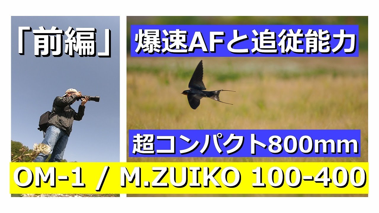 「前編」OM-1 / M.ZUIKO 100-400mm 野鳥を撮ってみた 驚愕のAF性能