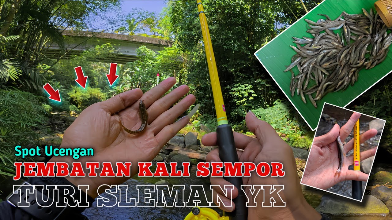 🍃JEMBATAN KALI SEMPOR TURI SLEMAN 💥  SPOT IDAMANNYA PEMANCING JOGJA UTARA 💚