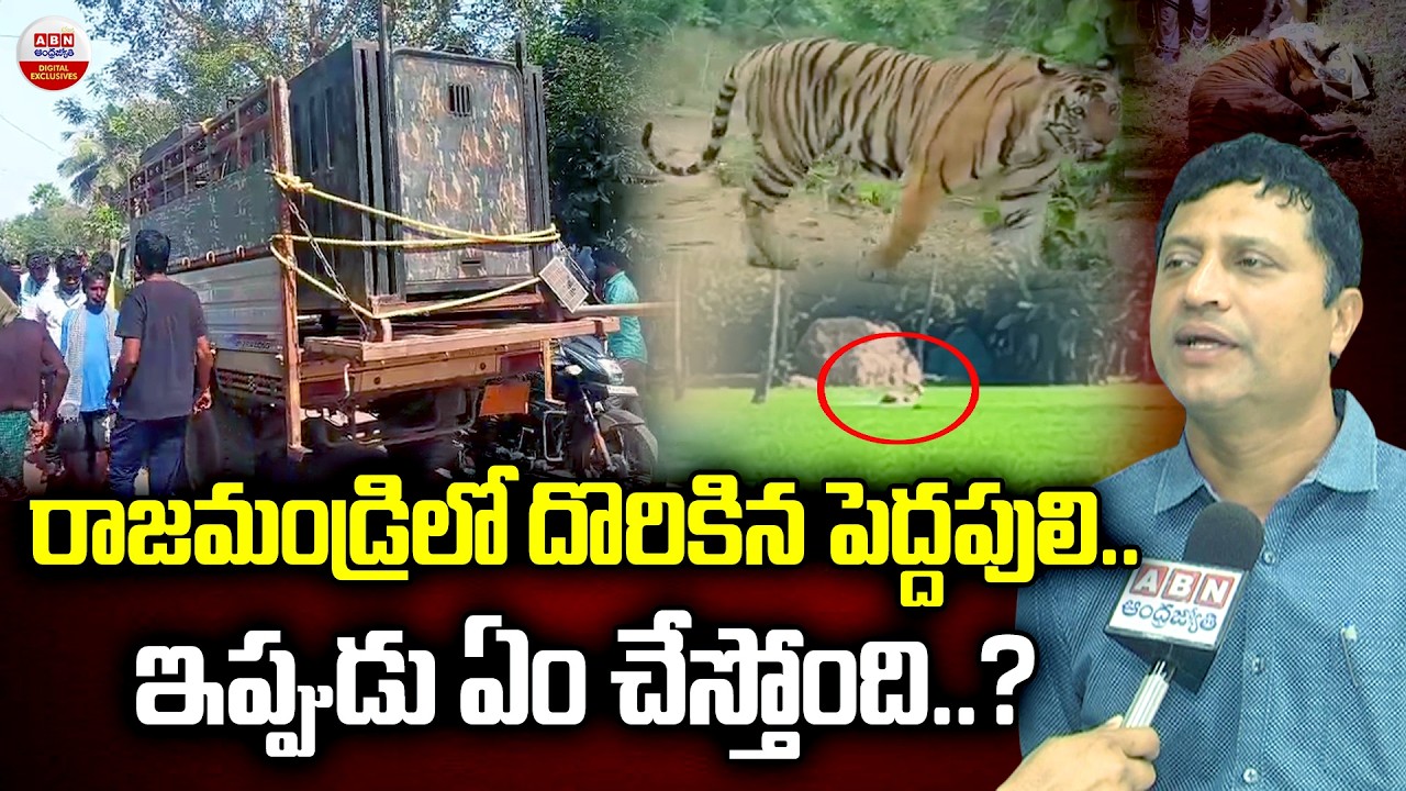 Chief Conservator of Forest  Officer BNN Murthy  about Rajahmundry Tiger Rescue | ABN
