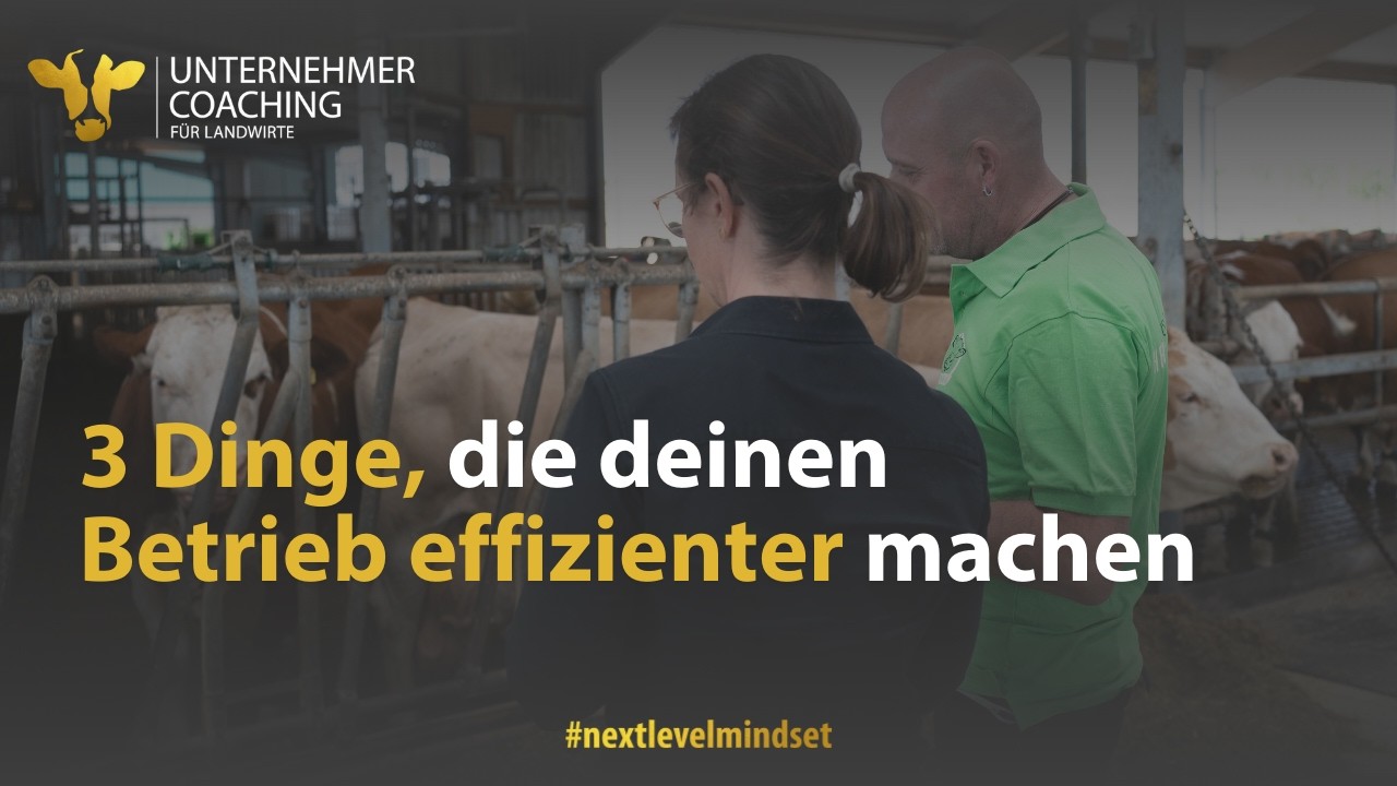 3 Dinge, die deinen Betrieb effizienter machen