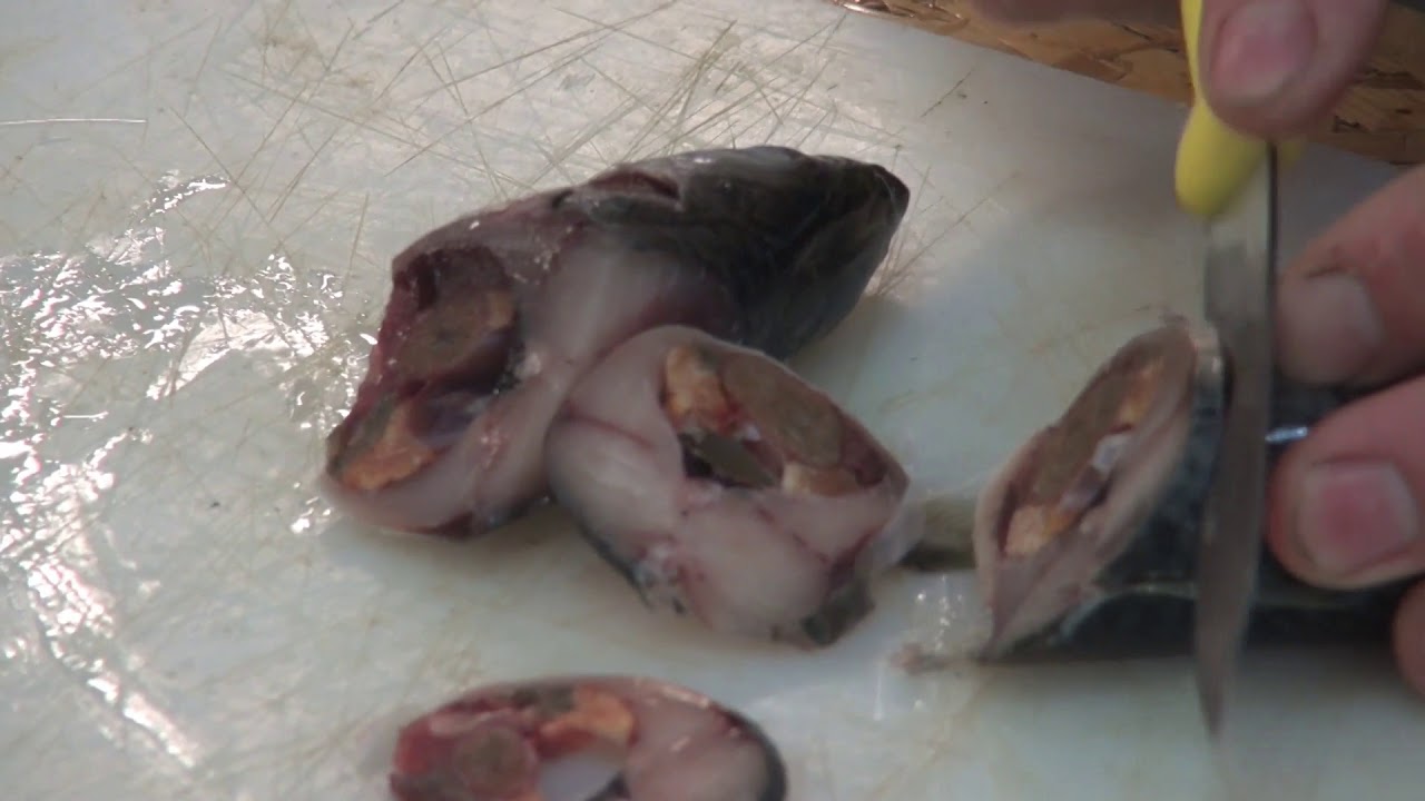 BAITS - Mackerel Bait for Grey Sharks on Full Metal Trace